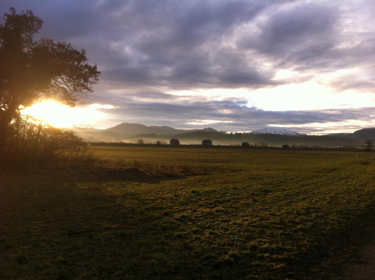 Gasthof Teufl Purgstall an der Erlauf Exteriér fotografie