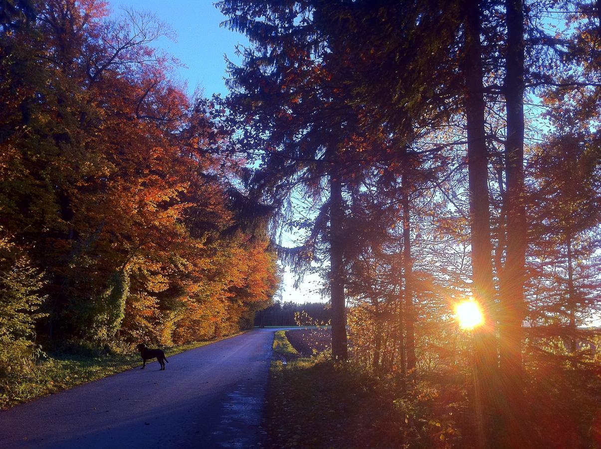 Gasthof Teufl Purgstall an der Erlauf Exteriér fotografie