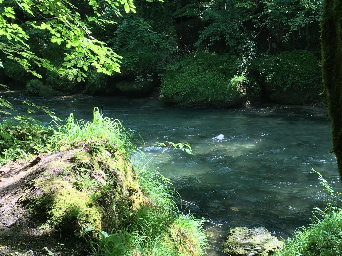Gasthof Teufl Purgstall an der Erlauf Exteriér fotografie